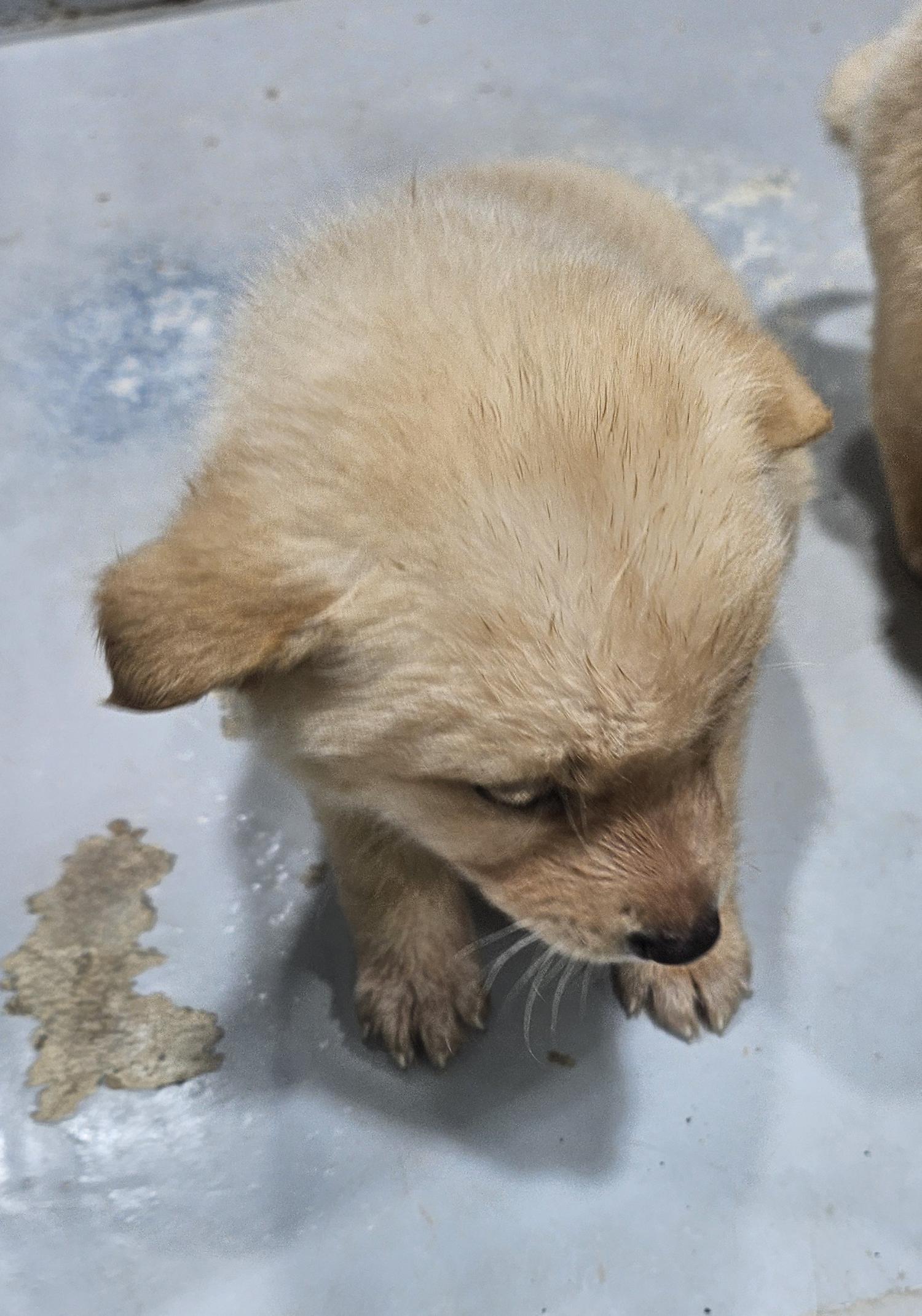 울진군동물보호센터_447525202500113
